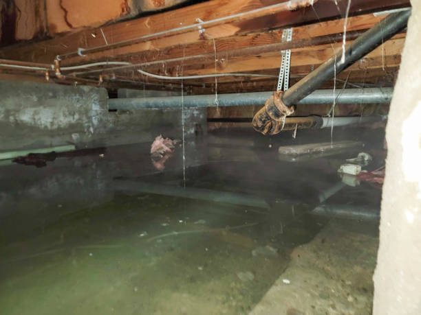 Best Emergency water damage restoration  in Belmont, MS