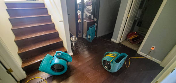 Water damage restoration experts in MS