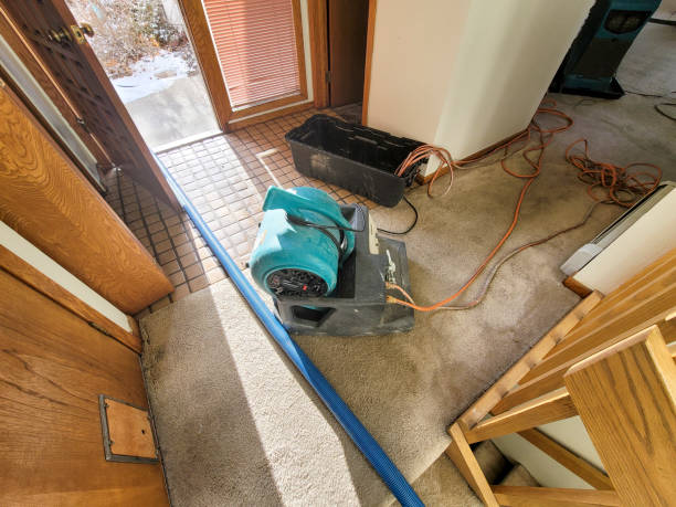 Best Carpet water damage restoration  in Belmont, MS