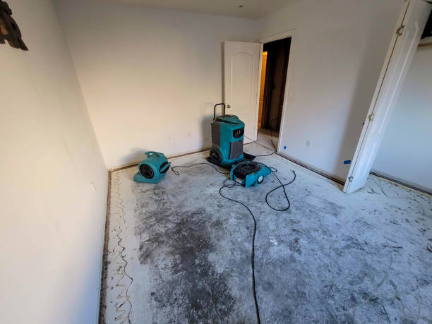 Best Flood restoration services  in Belmont, MS