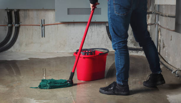 Water damage restoration process in MS