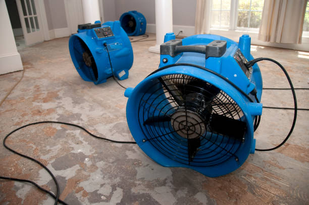 Best Water damage cleanup near me  in Belmont, MS