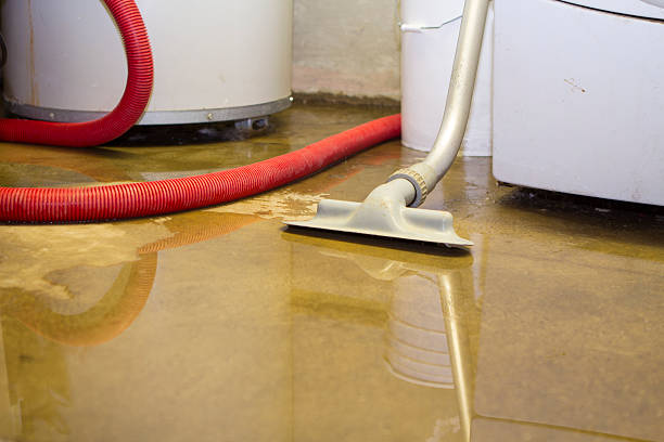 Best 24-hour water damage restoration  in Belmont, MS