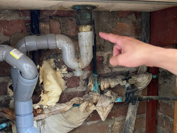 Best Water damage mitigation services  in Belmont, MS